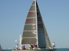 Racing Sails