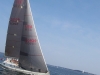 Racing Sails