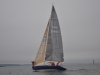 Racing Sails