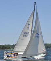 TriRadial Genoa Cruising Sails